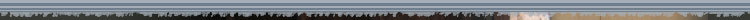 Header Border